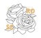Decorative english garden vintage rose with text. Female summer print, t-shirt design. Line art. Hand drawn beautiful flowers.