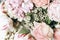 Decorative feminine floral composition. Closeup of pink roses petals, peonies, hydrangea ,chameleucium flowers