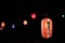 Decorative festival lanterns hung in Wakayama castle park for night viewing of Sakura