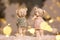 Decorative figurines of a Christmas theme. Figurines of cute teddy bears of a boy and a girl in sweaters with deers. Festive decor