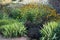 Decorative flower bed with perennials in autumn