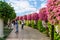 Decorative flower-decorated pedestrian alley on the territory of the botanical Dubai Miracle Garden in Dubai city, United Arab