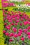 Decorative flowerbed with pink and white lush tulips in the rays of a bright spring sun