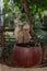 Decorative fountain in the form of a girl pouring water from a jug on exhibition in Gardens Almona collection, in rays of setting