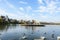 Decorative fountain and many white swans on Plumbuita lake (Lacul Plumbuita) and park, in Bucharest, Romania, in a