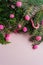 Decorative frame of fir branches and pink holly berries