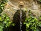 Decorative Gargoyle Water Fountain