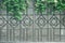 Decorative gate with tree branches hung over