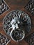 Decorative gilded lion head door knob