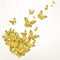 Decorative Golden Butterflies Sit in a Flock in the Shape of a Heart