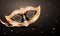 Decorative golden party mask on glossy gray background