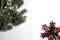 Decorative green frosty pine branch with cones and red snowflake with red berries. Winter, Christmas and New Year template.