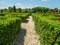 Decorative green garden with hedges in circles . Ornamental garden with gravel footpath