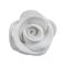 Decorative gypsum white rose isolated