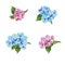 Decorative hand drawn pastel compositions with flowers hydrangea