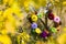 Decorative handmade autumn wreath with colorful felt pumpkins