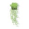 Decorative Hanging Flowerpot with Greenery.