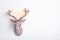 Decorative head of New Year reindeer with fairy light on its antlers on white textured background