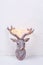 Decorative head of New Year reindeer with fairy light on its antlers on white textured background