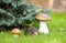 Decorative hedgehog and mushrooms