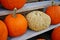 Decorative heirloom pumpkins and gourds in the fall