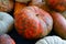 Decorative heirloom pumpkins and gourds in the fall