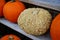 Decorative heirloom pumpkins and gourds in the fall