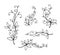 Decorative herb line drawing collection. Beauty flora concept. Elegant bio symbol vector illustration
