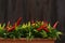 Decorative hot pepper in a long plastic rectangular flower box on a dark brown textural background