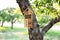 Decorative Insect house with compartments and natural components in a summer garden. Wooden insect house decorative bug hotel, lad