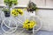 Decorative iron bicycle stand with flowers