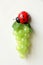 Decorative ladybug and a bunch of grapes
