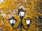 Decorative lampposts on the background of autumn foliage