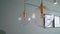 Decorative lamps hang from ceiling. Interior lighting, round glass chandelier