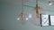 Decorative lamps hang from ceiling. Interior lighting, round glass chandelier