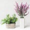 Decorative lavender and houseplant in pots over wall