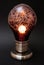 Decorative light bulb lamp