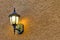 Decorative lighting fixture