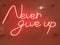 Decorative Lights that says Never Give Up