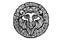 Decorative Lion head icon silhouette vector illustration