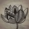 Decorative lotus. Vector illustration decorative design