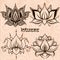 Decorative lotuses