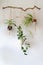 Decorative macrame plant hanger with cotton yarn, decorating the interior of house with white walls