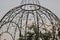 DECORATIVE METAL DOME SUPPORTING CLIMBING ROSES