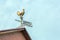 Decorative metal weather vane in the form of a rooster on the roof of the house as a symbol of dawn
