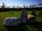 Decorative mineral rocks in the garden