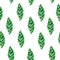Decorative monstera leaf watercolor seamless pattern