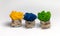 Decorative moss in yellow, green and blue colors in stone pots on a light background. Stabilized potted moss
