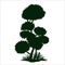 Decorative mountain pine silhouette. Decor hand drawn vector element. Garden bonsai.