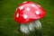 Decorative mushroom - huge amanita.